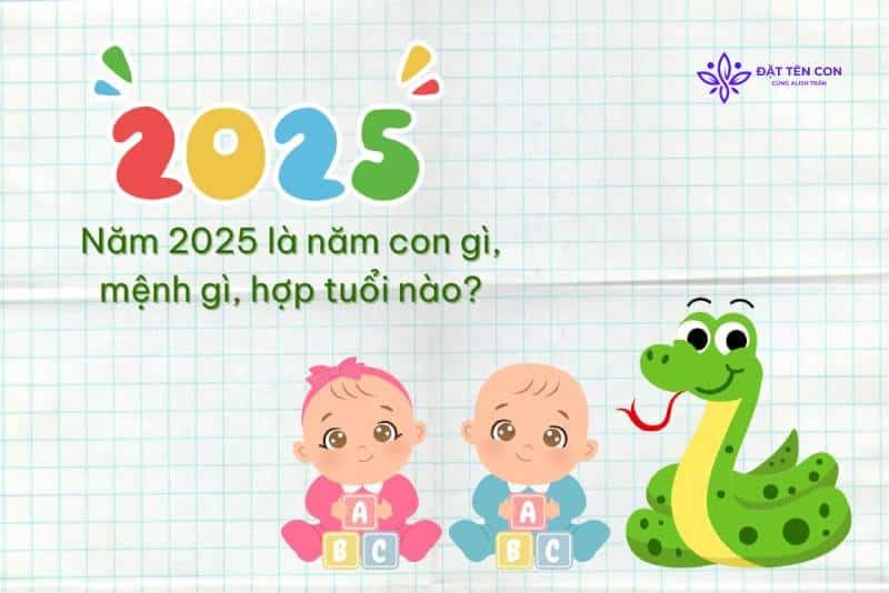 Bé gái sinh năm 2025 mệnh gì và những điều bố mẹ cần biết