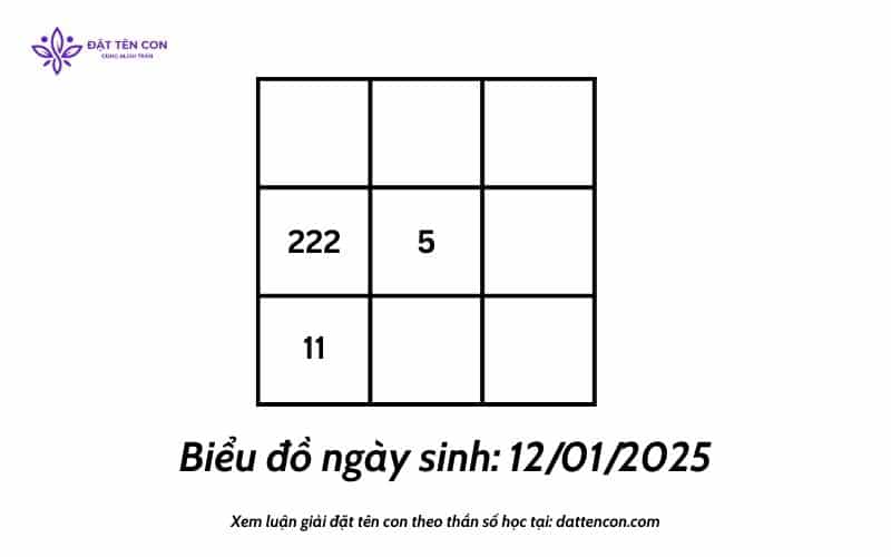 Biểu đồ bé sinh ngày 12.01.2025