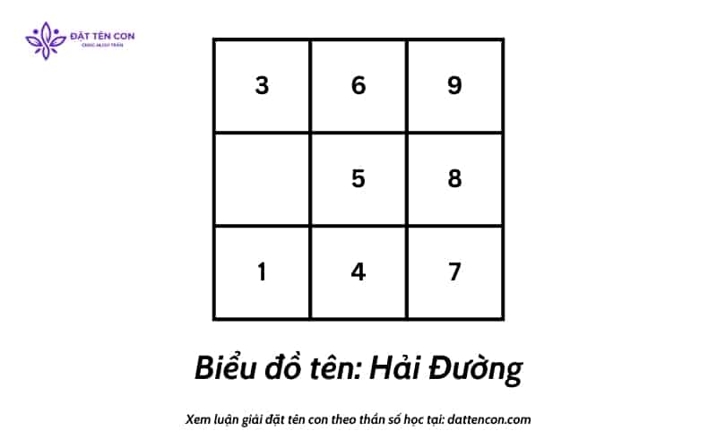 Biểu đồ tên riêng bé Hải Đường