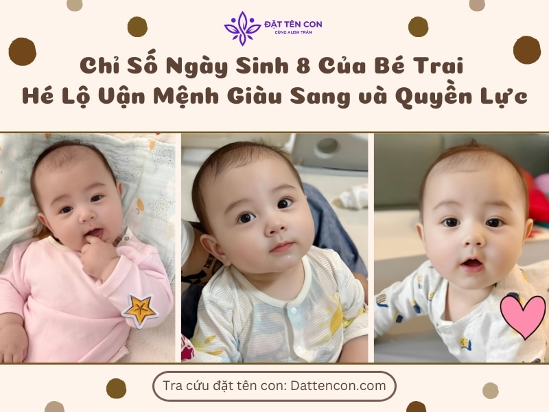 Chỉ số ngày sinh 8 của bé trai - Hé Lộ Vận Mệnh Giàu Sang & Quyền Lực