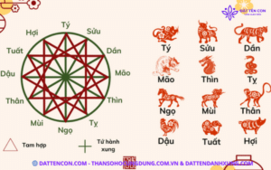 Hạn chế xung khắc giữa tên và ngày sinh