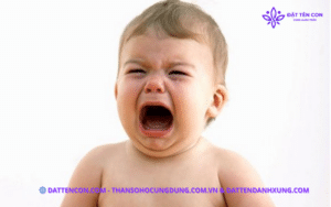 Con quấy khóc