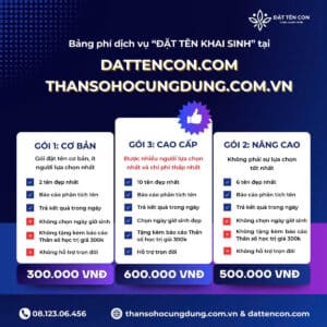 Mức giá vô cùng ưu đãi