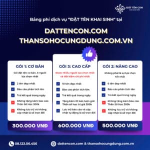 Chi phí đặt tên con theo Thần Số Học tại Dattencon.com