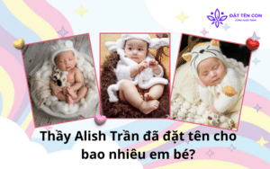 Thầy Alish Trần đã đặt tên cho bao nhiêu em bé?
