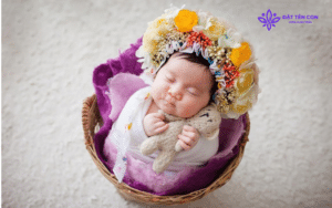 Thầy Alish Trần đã đặt tên cho bao nhiêu em bé?