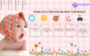 Địa chỉ đặt tên con theo thần số học