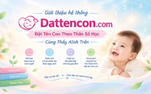 Giới thiệu hệ thống Dattencon.com – Đặt Tên Con Theo Thần Số Học Cùng Thầy Alish Trần