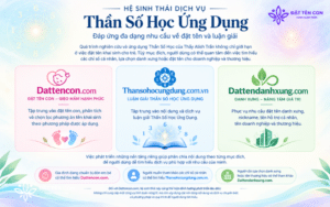 Hệ sinh thái Thần Số Học Ứng Dụng của Thầy Alish Trần