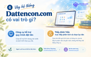 Vậy hệ thống Dattencon.com có vai trò gì?