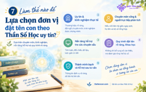 Lựa chọn đơn vị đặt tên con theo Thần Số Học uy tín